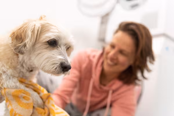 Reha mit Hund Dr. Becker Klinik Juliana